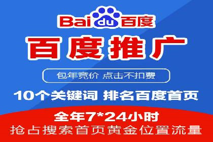 百度竞价排名机制：成功案例与策略探讨